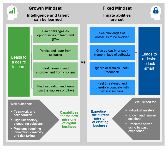 Gartner's Growth Mindset Chart